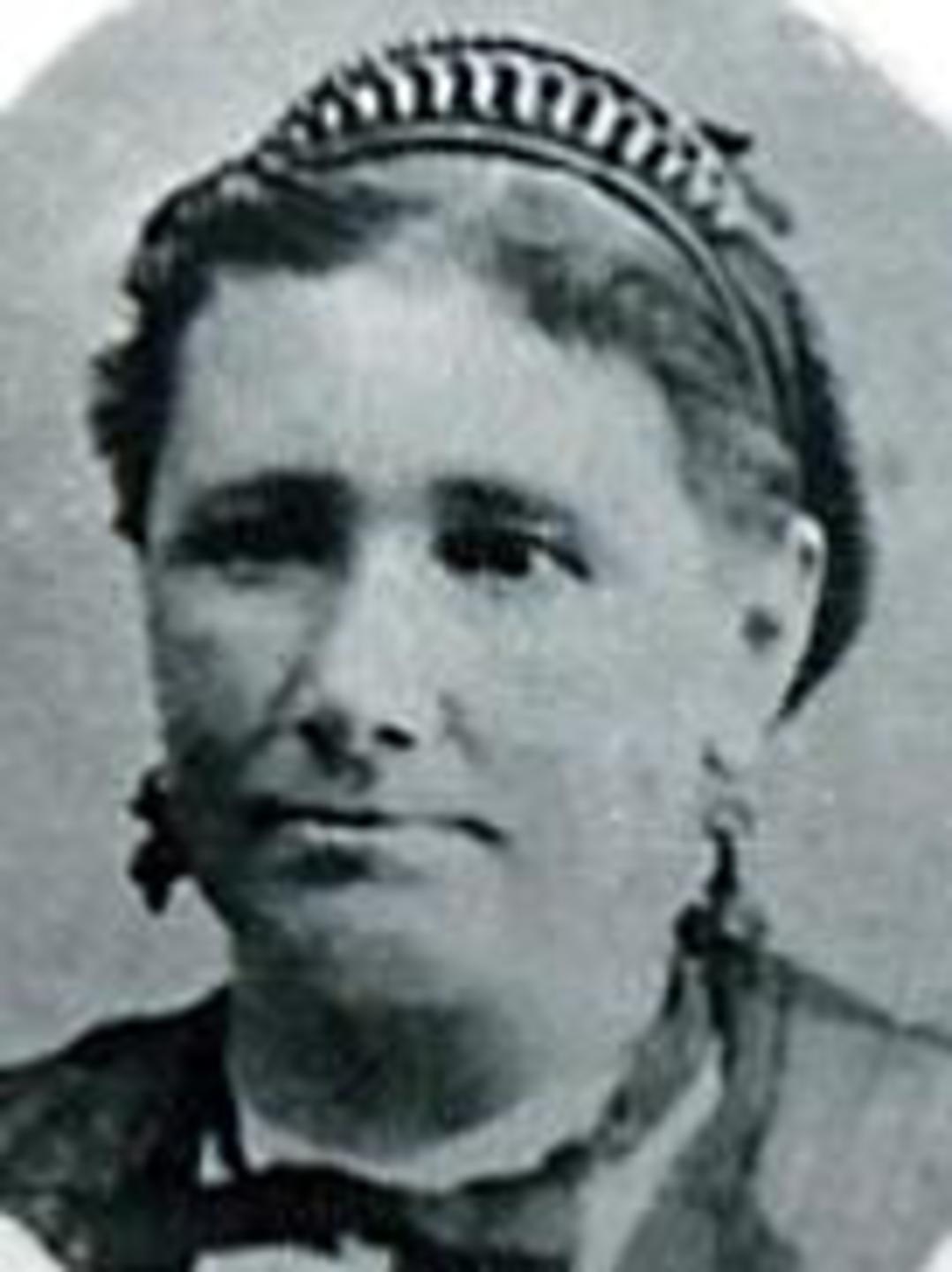 Ann Elizabeth Wild (1827 - 1906) Profile